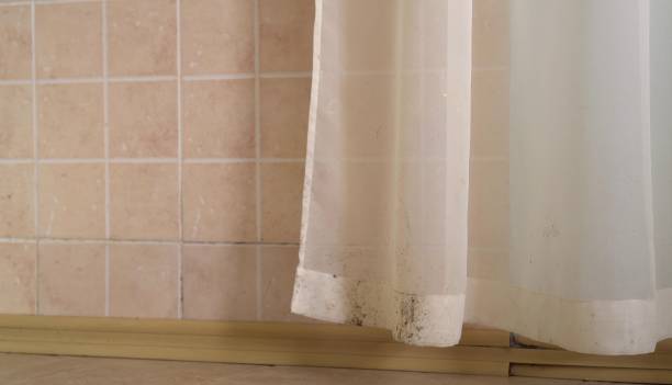 Reliable Glasgow, OR Mold Removal Solutions