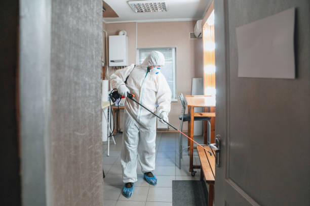 Best Mold Documentation for Insurance Claims  in Glasgow, OR
