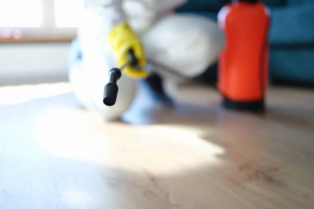 Best Mold Odor Removal Services  in Glasgow, OR