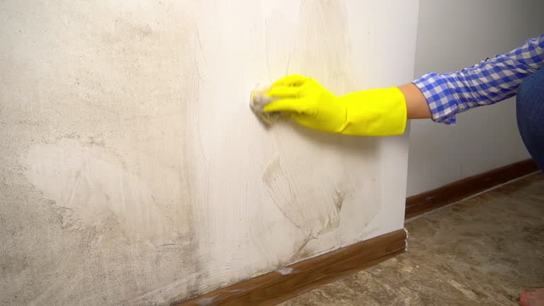 Best Mold Damage Restoration  in Glasgow, OR
